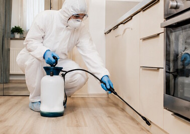 Обработка квартиры от тараканов